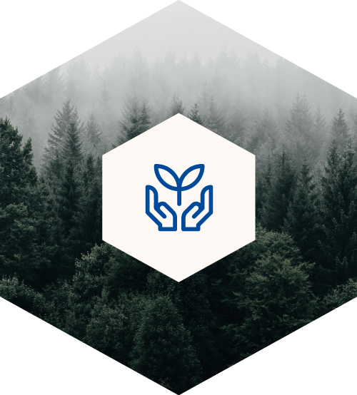 OfficinaSA consulenza Ambiente ESG